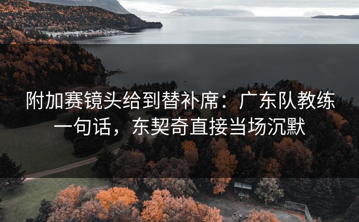 附加赛镜头给到替补席：广东队教练一句话，东契奇直接当场沉默